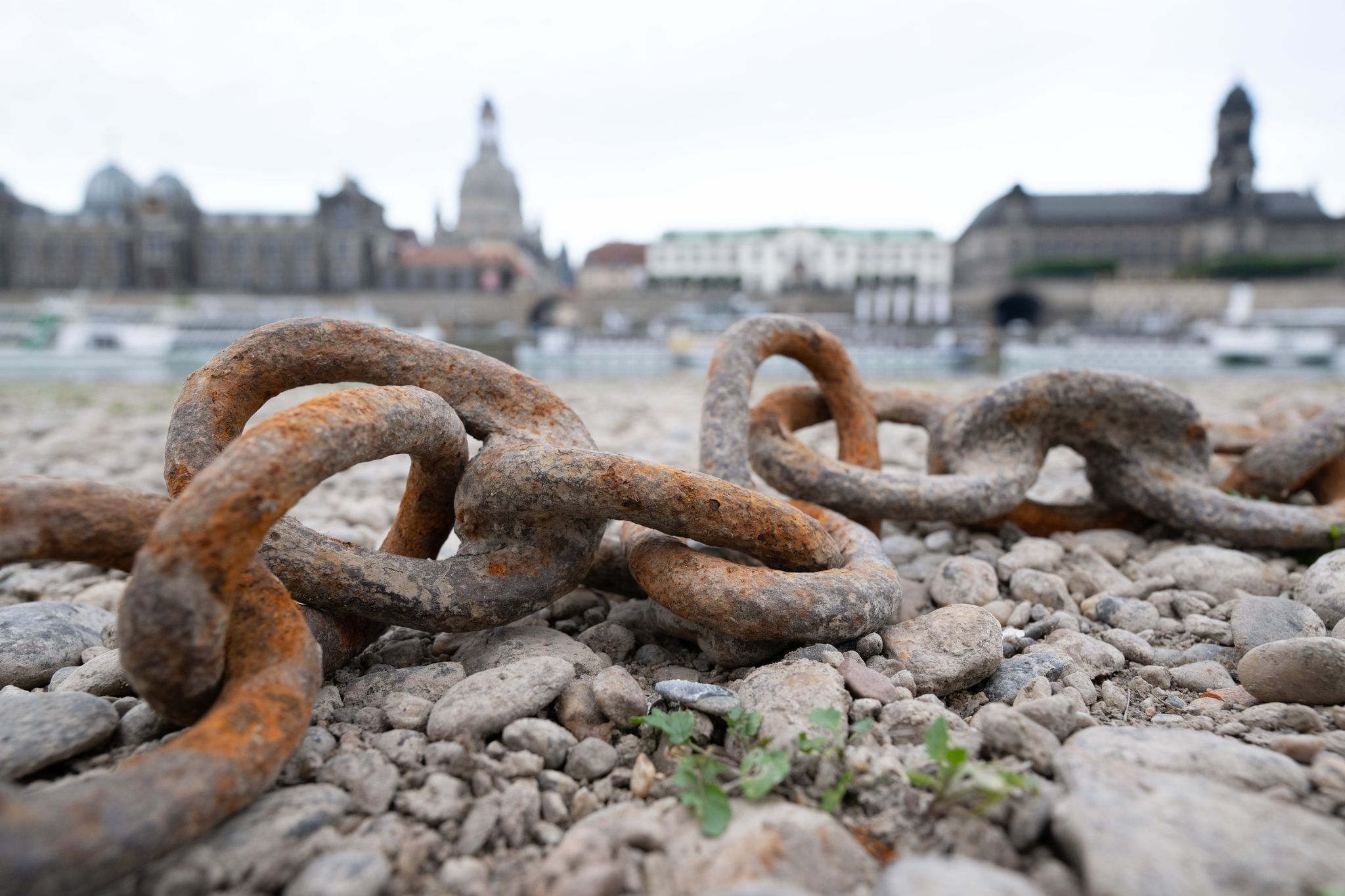 Klimaforscher: Deutschland fehlt ein Dürremanagement