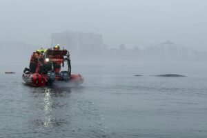 Seenotretter vor der polnischen Ostseeküste nähern sich einem Buckelwal, der sich in einem Fischernetz verfangen hat.