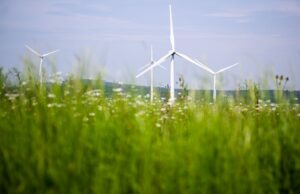 Beim Bau von Windrädern macht Deutschland Fortschritte. Doch in anderen Bereichen hakt es beim Klimaschutz weiter.