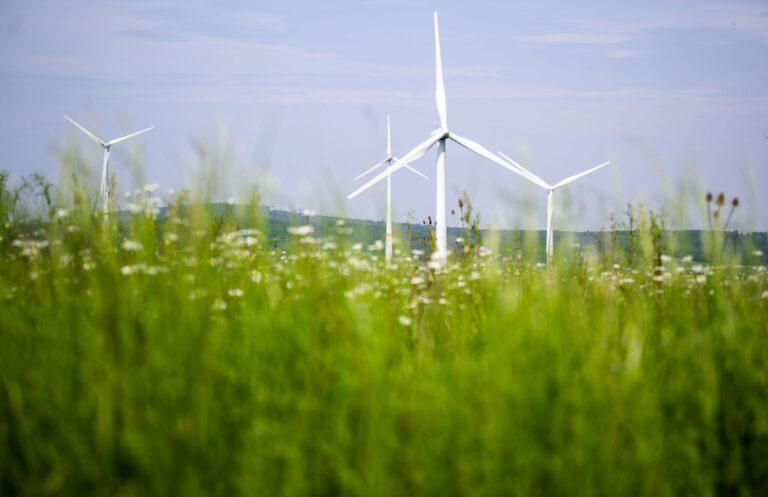 Beim Bau von Windrädern macht Deutschland Fortschritte. Doch in anderen Bereichen hakt es beim Klimaschutz weiter. Foto: Julian Stratenschulte/dpa