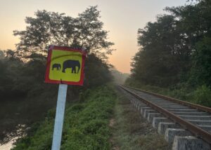 Ein Hinweisschild warnt vor wilden Elefanten. (Foto aktuell)