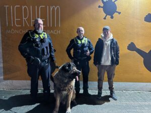 Er wurde aus dem Tierheim gestohlen. Jetzt ist Rüde Teddy zurück.