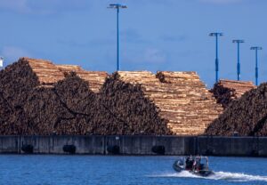 Holz wird vor dem Transport begast, um es etwa vor Borkenkäfern zu schützen.