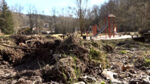 Wildschweine haben einen Spielplatz in Osterode umgepflügt.