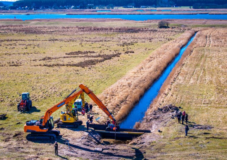 Mehr Wasser für die Peenewiesen.  Foto: Jens Büttner/dpa