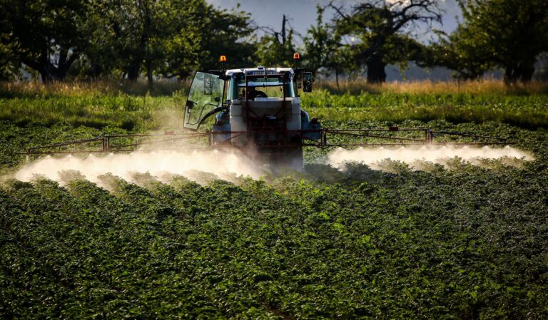 Die in der Landwirtschaft eingesetzten Pflanzenschutzmittel belasten der Studie zufolge auch umliegendes Gelände. (Archivbild) Foto: Christoph Schmidt/dpa