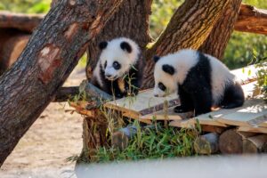 Die Schwestern haben unterschiedliche Charakterzüge: Lotti ist etwas wilder als Leni.