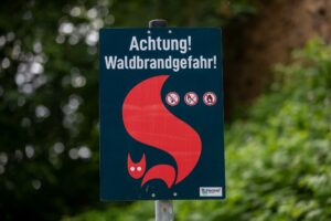 In Teilen Sachsen-Anhalts kann die Waldbrandgefahr in den nächsten Tagen weiter ansteigen. (Archivbild)