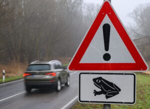 Autofahrer sollen achtsam sein und auf Warnschilder achten. (Symbolfoto)