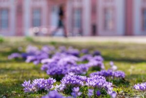 Im Park lässt sich der Frühlingsanfang besonders gut genießen. (Archivbild)