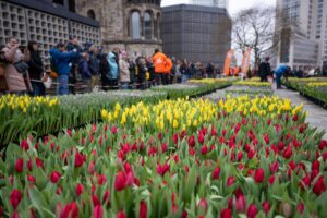 Viele Besucher des Tulpengartens hielten die Farbenpracht auf Fotos fest.