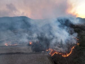 Mindestens vier Menschen sind beim Einsatz gegen Waldbrände in Südkorea ums Leben gekommen.