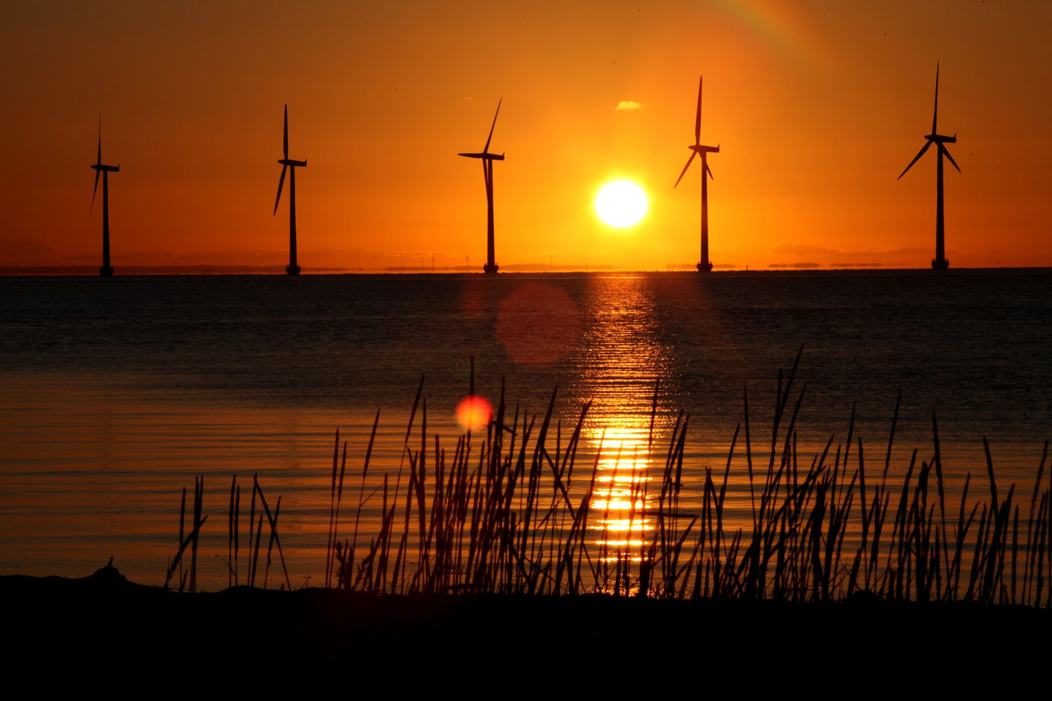 Ministerium: Dänemark erreicht ambitioniertes Klimaziel