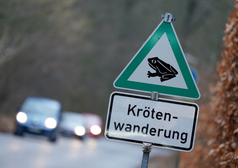 Bei der Zerstörung der Amphibienzaunanlage entstand ein Schaden im sechsstelligen Bereich. (Symbolbild) Foto: Marcus Brandt/dpa