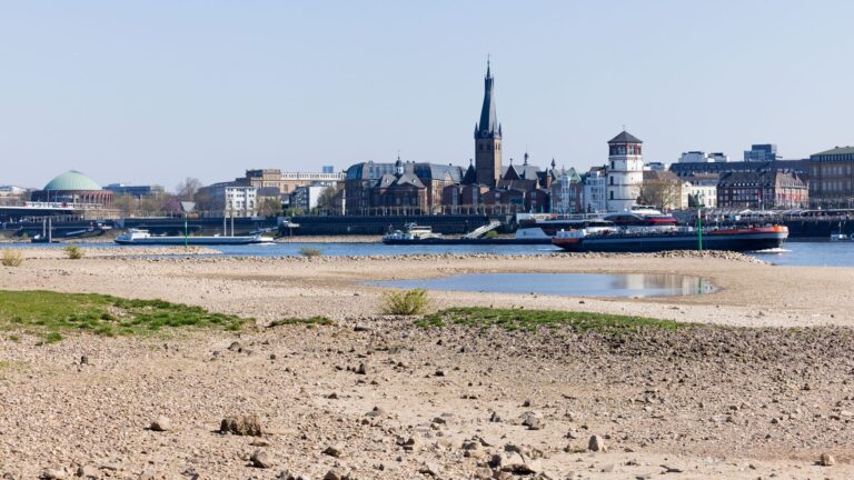 Auch in Düsseldorf ist das Niedrigwasser des Rheins nicht zu übersehen. Foto: Rolf Vennenbernd/dpa