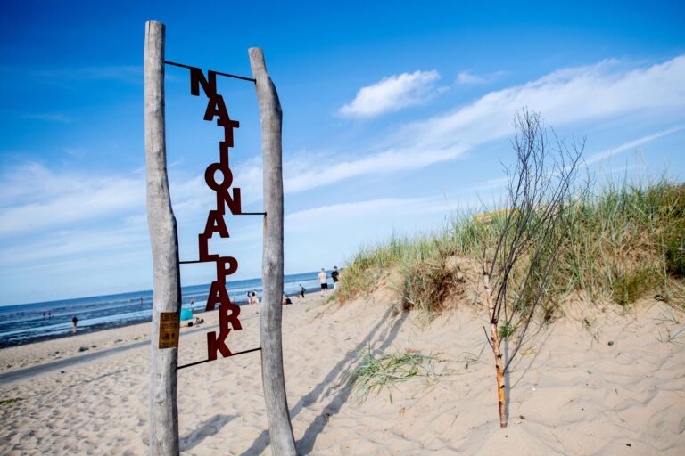 Durch den Nationalpark Niedersächsisches Wattenmeer sollen viele Stromkabel zur Anbindung von Windparks auf See verlaufen. (Archivbild) Foto: Hauke-Christian Dittrich/dpa