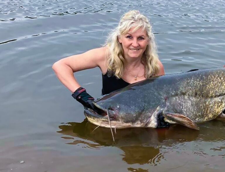 2,13 Meter lang und 52 Kilogramm schwer - dieser Wels macht Christine Hein aus Ketzin im Havelland zur Anglerkönigin von Brandenburg 2024.  Foto: Christine Hein