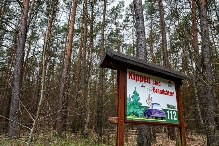 Achtung Waldbrandgefahr: Hinweistafeln weisen auf das Risiko in Brandenburgs Wäldern hin. (Archivbild) Foto: Jens Kalaene/dpa