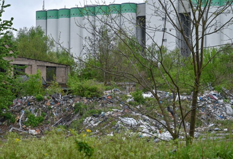 In Brandenburg gibt es noch viele illegale Abfalllager, die geräumt werden müssen. (Archivbild) Foto: Patrick Pleul/dpa-Zentralbild/ZB