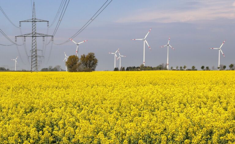 Mehr als 50 Veranstaltungen sind zum Landes-Energie-Tag in Mecklenburg-Vorpommern geplant. (Symbolbild) Foto: Bernd Wüstneck/dpa