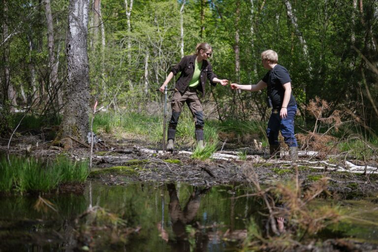 Der Weg durch ein Moor ist nicht leicht.  Foto: Oliver Dietze/dpa