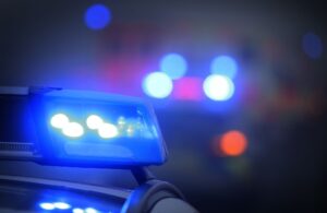 Polizisten haben Entenküken von der A5 gerettet. (Symbolbild)