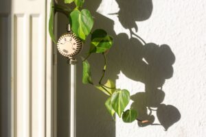 Verbände fordern klare Ansagen zur künftigen Heizungsförderung.