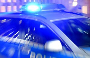 Eine Kuh ist nach einem Unfall bei Biberach verendet. (Symbolbild)