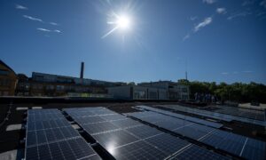 Berlin setzt die Förderung des Solarausbaus fort. (Archivbild)