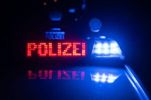 Der Polizei gelang es, die Rinder mit einem Elektrozaun einzukesseln. (Symbolfoto)