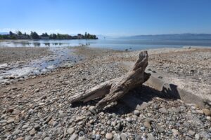 Auch am bayerischen Teil des Bodensees konnten zuletzt niedrige Wasserstände beobachtet werden. Laut dem bayerischen Landesamt für Umwelt war der vergangene Winter insgesamt deutlich zu trocken. (Archivfoto)