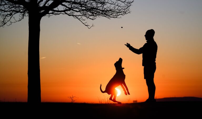 Hund statt Kind? Ganz so einfach ist es nicht.  Foto: Julian Stratenschulte/dpa