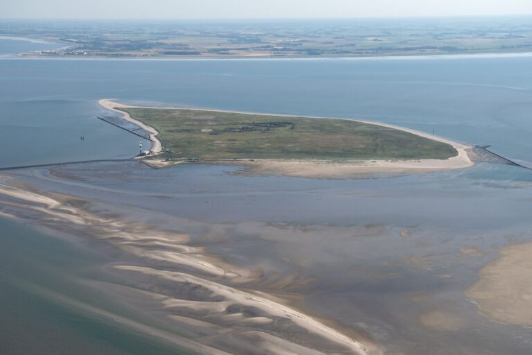 Experten wollen das angespülte Tier auf der Insel untersuchen. (Archivfoto) Foto: Sina Schuldt/dpa