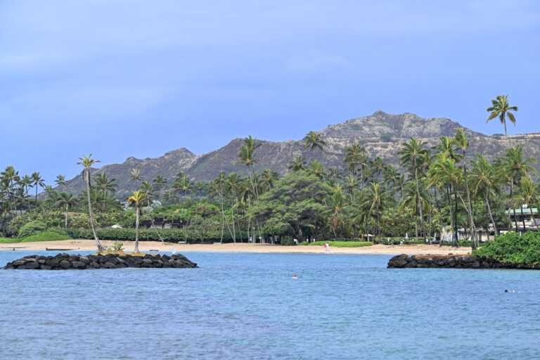 Laut Tourismusbehörde kamen 2023 rund zehn Millionen Besucher nach Hawaii. (Archiv) Foto: Soeren Stache/dpa
