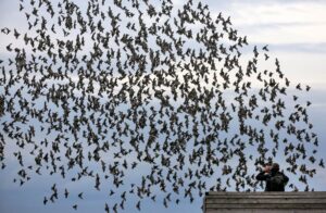 Die meisten Menschen halten sich an die Regeln in Naturschutzgebieten und fotografieren Tiere nur von Wegen und Aussichtspunkten aus.