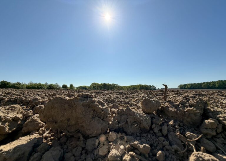 Im Norden war der Frühling dem DWD zufolge deutlich wärmer, trockener und sonniger als üblich. (Archivbild) Foto: Christian Charisius/dpa