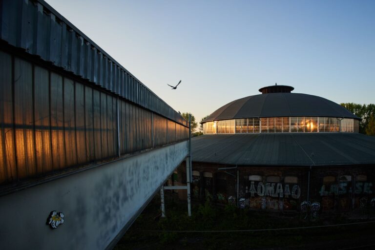 Nicht nur einige Sommervögel, auch der Maikäfer fliegt schon durch Berlin. (Archivbild) Foto: Jörg Carstensen/dpa