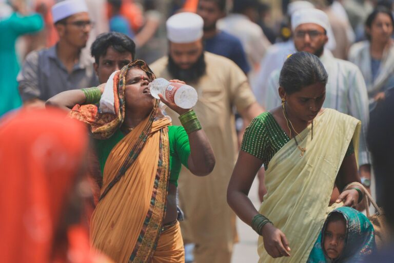 Experten erwarten, dass auch die kommenden Jahre warm werden - das bleibt nicht ohne Folgen. (Archivbild) Foto: Mahesh Kumar A./AP/dpa