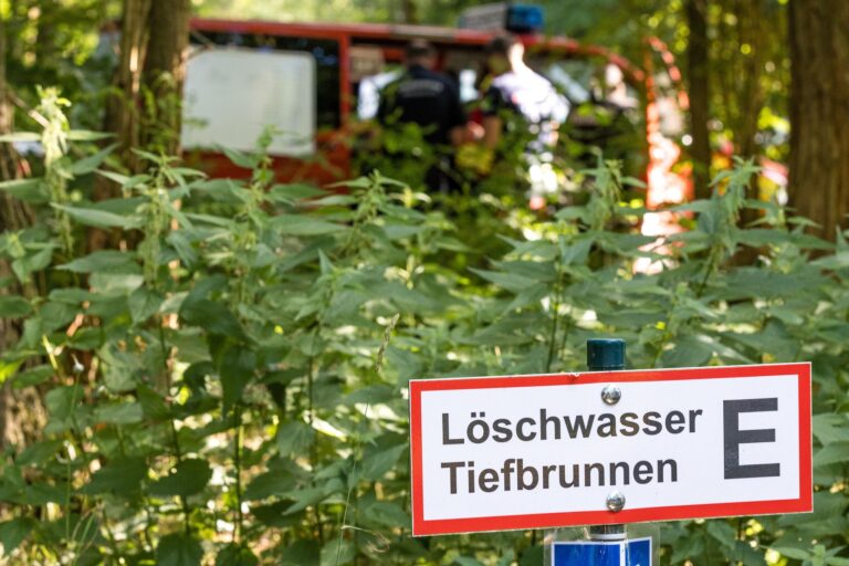 Einsatzkräfte brauchen im Fall eines Waldbrandes schnelle Orientierung über ein Gebiet: erneuerte Karten sollen helfen. (Archivbild) Foto: Frank Hammerschmidt/dpa