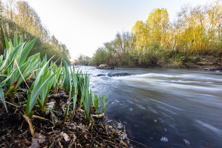 Zuletzt führte die Ems deutlich weniger Wasser als sonst. (Archivfoto) Foto: Guido Kirchner/dpa