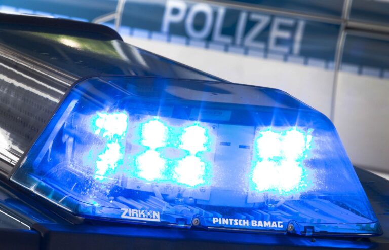 Weil er seine Hühner mittels sogenannter Tellereisen vor Füchsen habe schützen wollen, blüht einem Mann aus dem Landkreis Saalfeld-Rudolstadt nun eine Anzeige wegen Verstoßes gegen das Tierschutzgesetz. (Symbolbild) Foto: Friso Gentsch/dpa