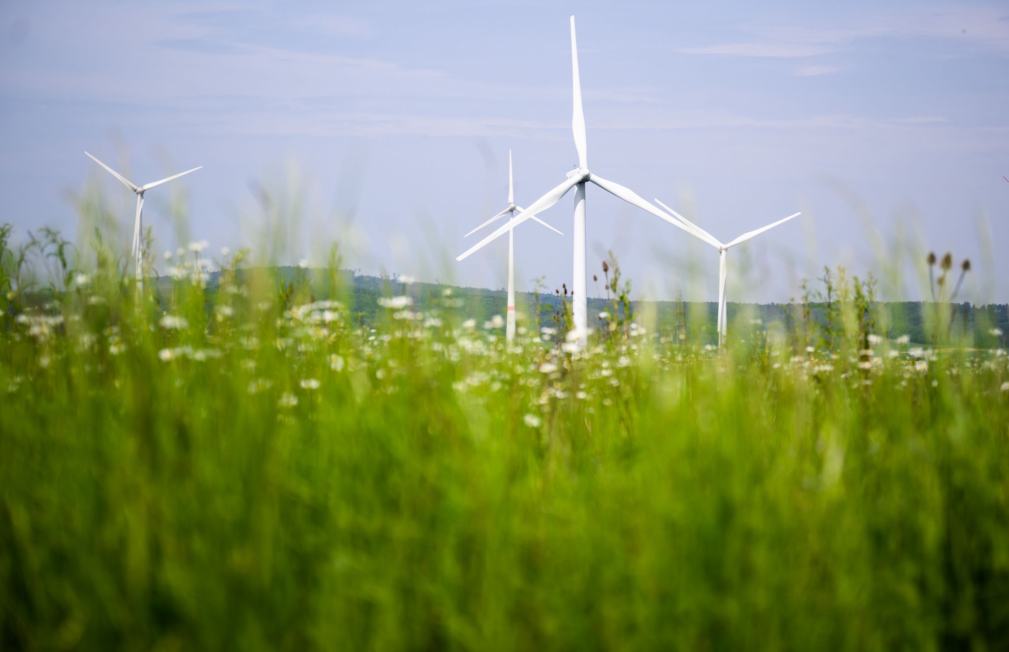 Niedersachsen verbucht Rekord bei grünem Strom