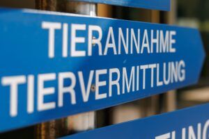 Im Tierheim Nürnberg wird ein Teil der gefundenen Tiere versorgt. (Archivfoto)
