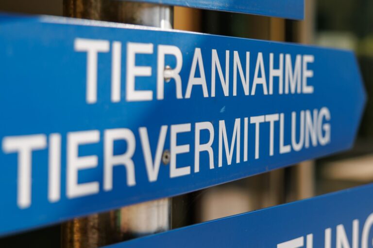 Im Tierheim Nürnberg wird ein Teil der gefundenen Tiere versorgt. (Archivfoto)  Foto: Daniel Karmann/dpa