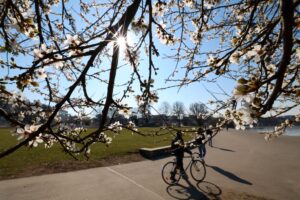 In Hamburg war der Frühling dem DWD zufolge wämer, trockener und sonniger als üblich. (Archivbild)