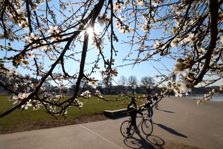 In Hamburg war der Frühling dem DWD zufolge wämer, trockener und sonniger als üblich. (Archivbild) Foto: Christian Charisius/dpa