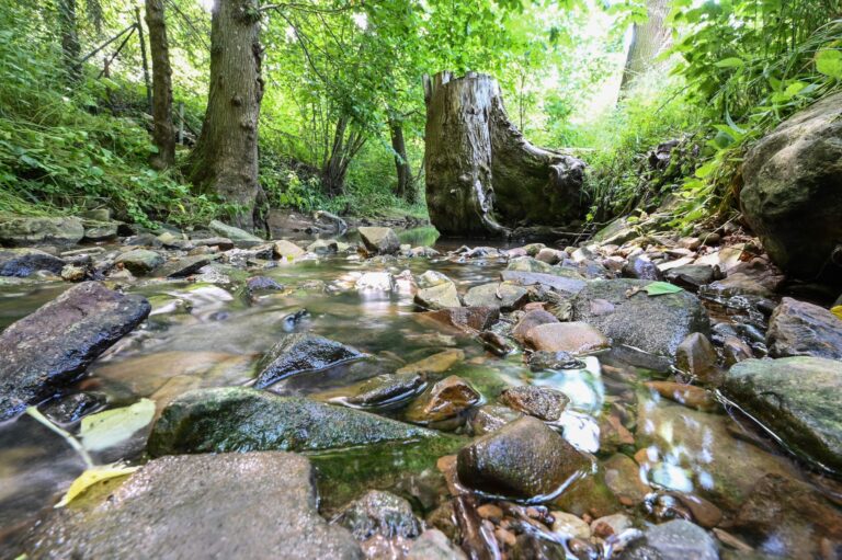 Erste Landkreise warnen vor Wasserknappheit in Flüssen und Bächen. (Symbolbild) Foto: Bernd Weißbrod/dpa