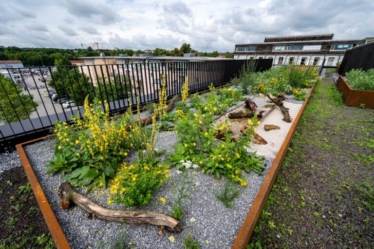 Klimaschutz ist oft teuer - in Zeiten angespannter Finanzlagen sind auch die Kommunen auf Fördergelder angewiesen. Doch sehr oft werden die Anträge in Bayern wegen Geldmangels abgelehnt. (Archivbild) Foto: Armin Weigel/dpa/dpa-tmn