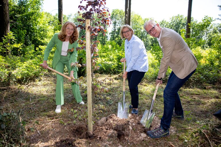 Die Aktion soll helfen, die Natur zu schützen. Foto: Laszlo Pinter/dpa