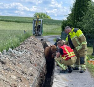 Einsatzkräfte der Feuerwehr kümmern sich um ein Pferd in einem Graben.